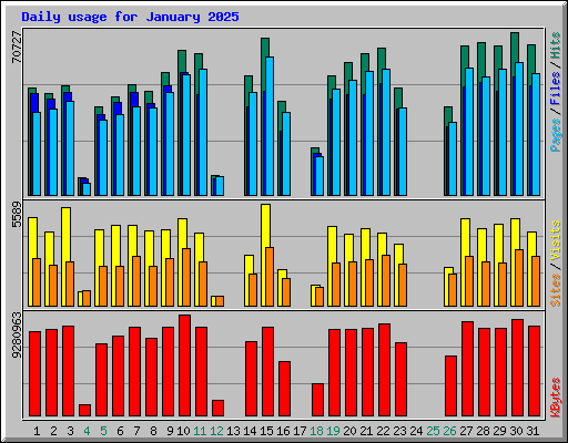 Daily usage for January 2025