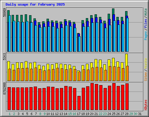Daily usage for February 2025