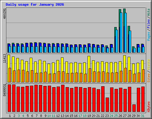 Daily usage for January 2026