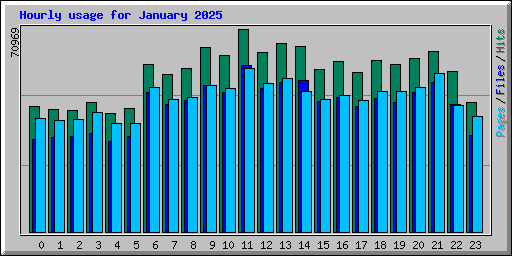 Hourly usage for January 2025