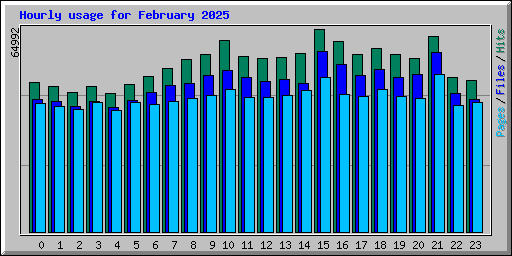 Hourly usage for February 2025