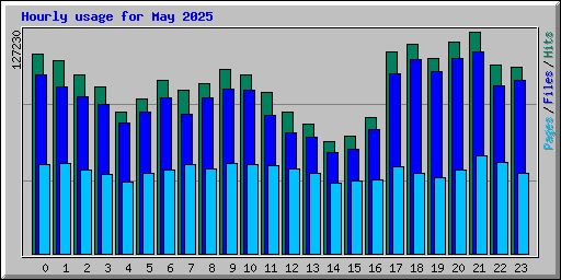 Hourly usage for May 2025