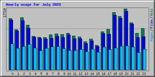 Hourly usage for July 2025