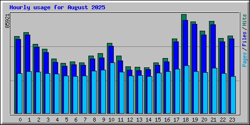 Hourly usage for August 2025