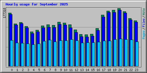 Hourly usage for September 2025