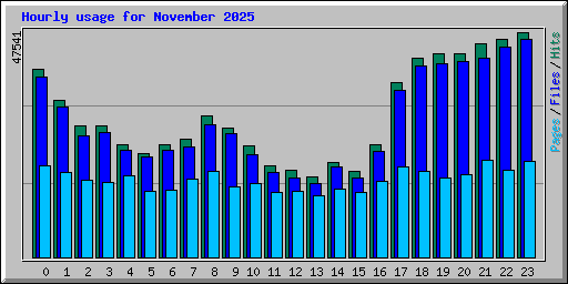 Hourly usage for November 2025