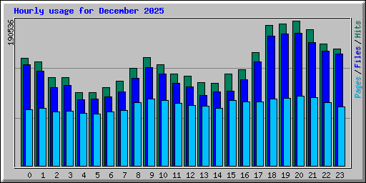 Hourly usage for December 2025