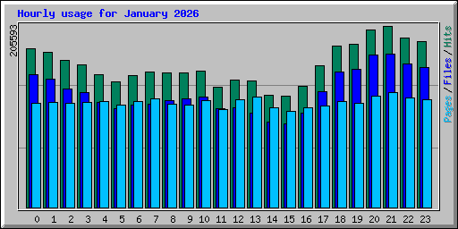 Hourly usage for January 2026